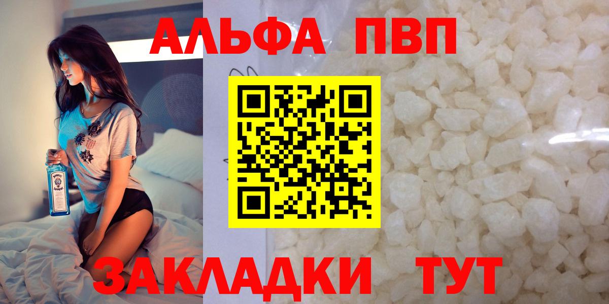 Альфа ПВП СК Курчалой
