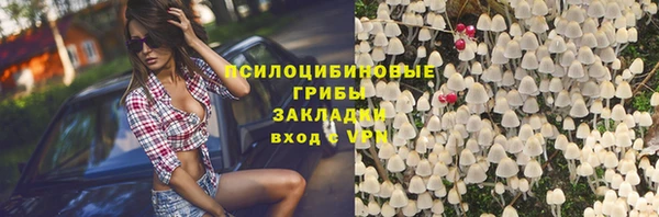 мет Алексин