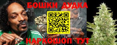 кокс Кандалакша