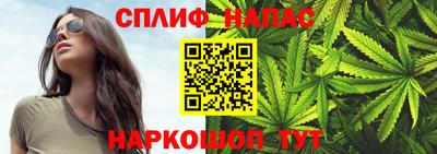 МДПВ Канаш