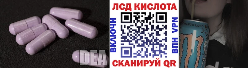 блэк спрут ССЫЛКА  Курчалой  Лсд 25 экстази ecstasy 