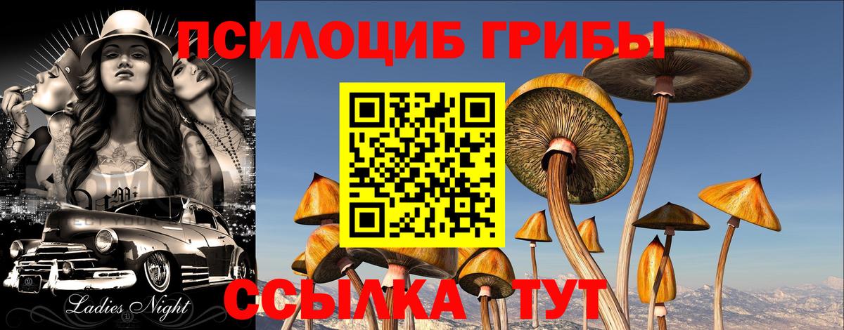 Псилоцибиновые грибы мицелий Курчалой