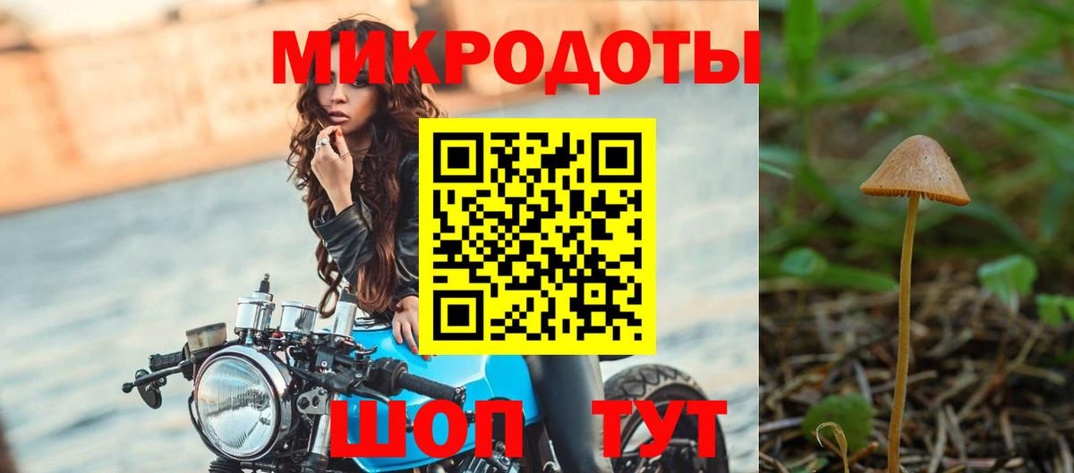 Галлюциногенные грибы Psilocybine cubensis  Вход с VPN  Курчалой 