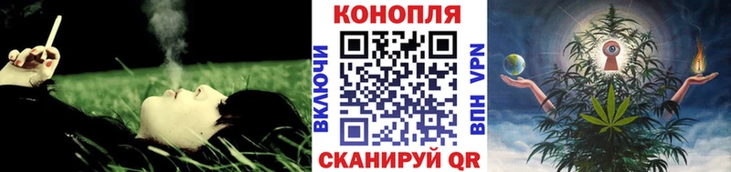 купить закладку  Курчалой  shop какой сайт  Конопля OG Kush 